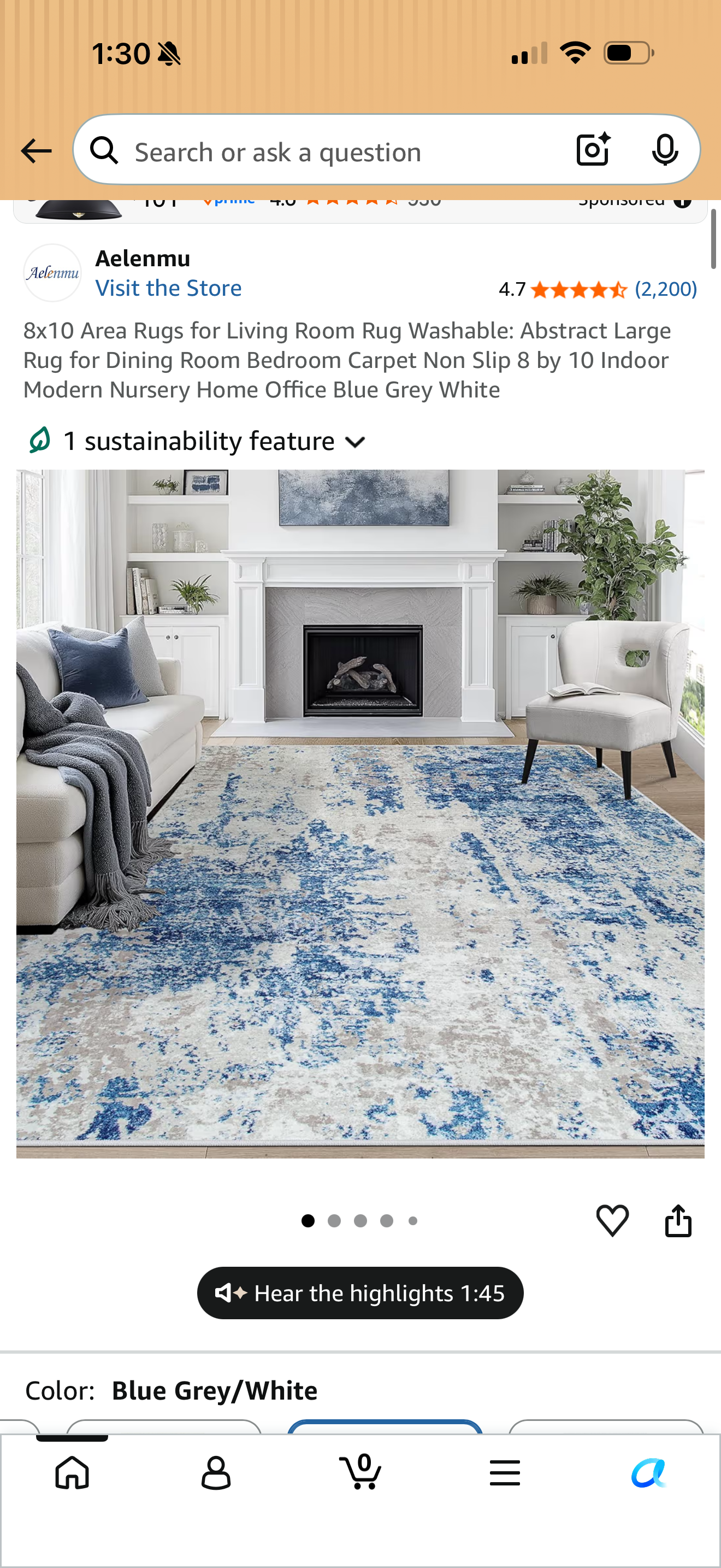 8x10 rug