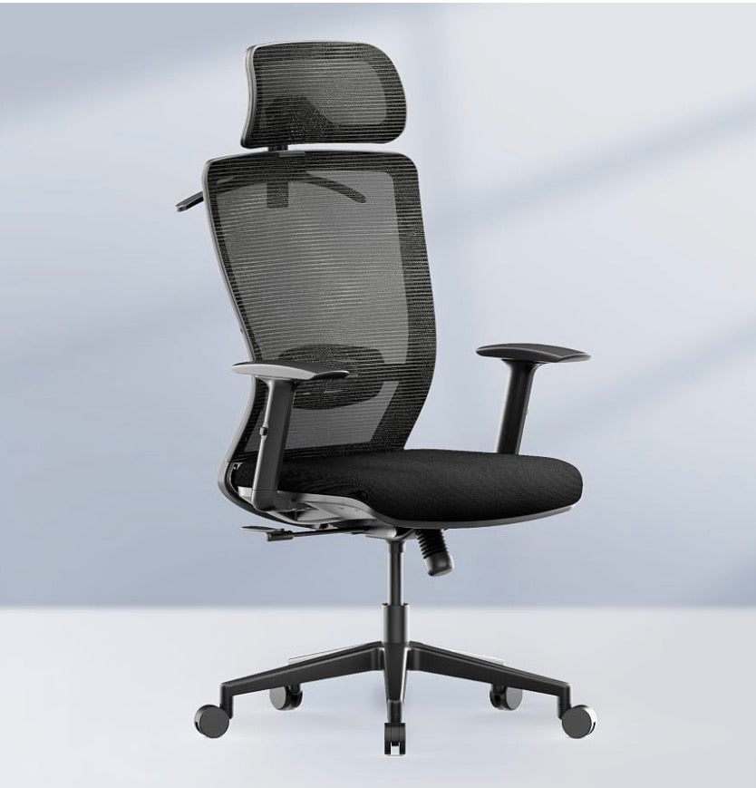 Ergonomic Office Chair