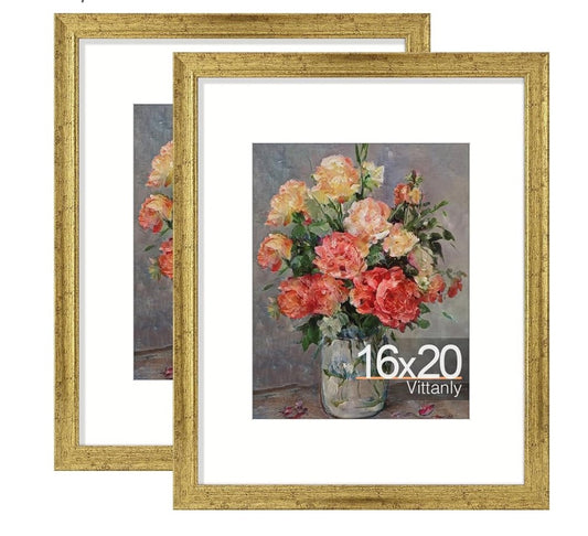 16x20 Poster Frames Set of 2,